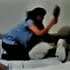 Perros defienden a un niño de los golpes de su madre.