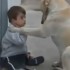 Un Perro que cuida a un niño.